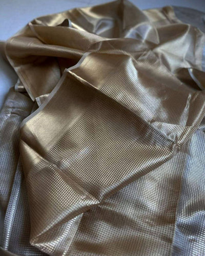 Lustrous Charm – Classic Tissue Silk Saree with a Royal Touch